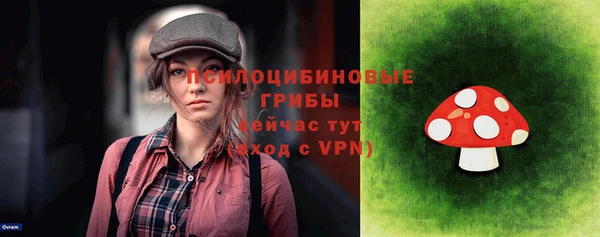 прущие грибы Карпинск