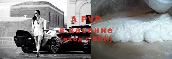 прущие грибы Карпинск
