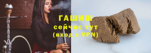 прущие грибы Карпинск