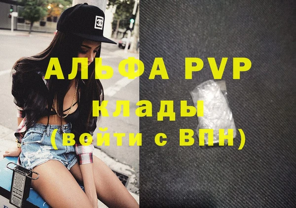 прущие грибы Карпинск